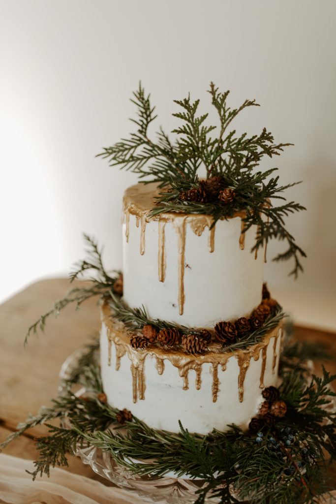 Hopes Way Gathering Winter Wedding Cake with Pinecones