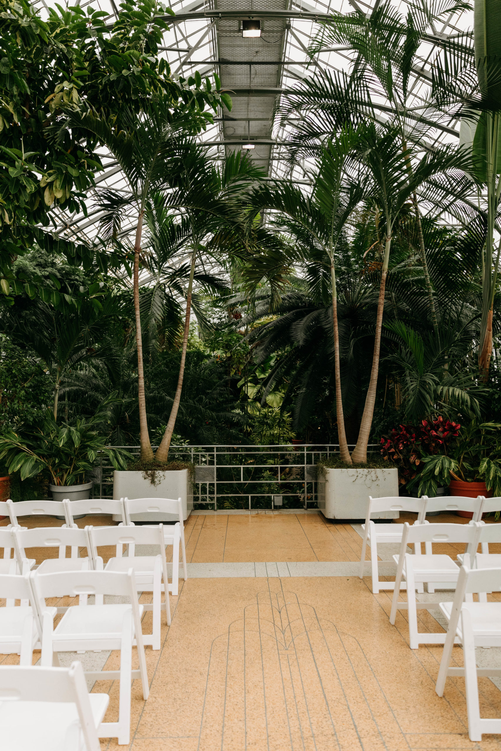 Greenhouse Wedding Ceremony Set-Up with Chairs at Krohn conservatory in Eden Park, Cincinnati Ohio