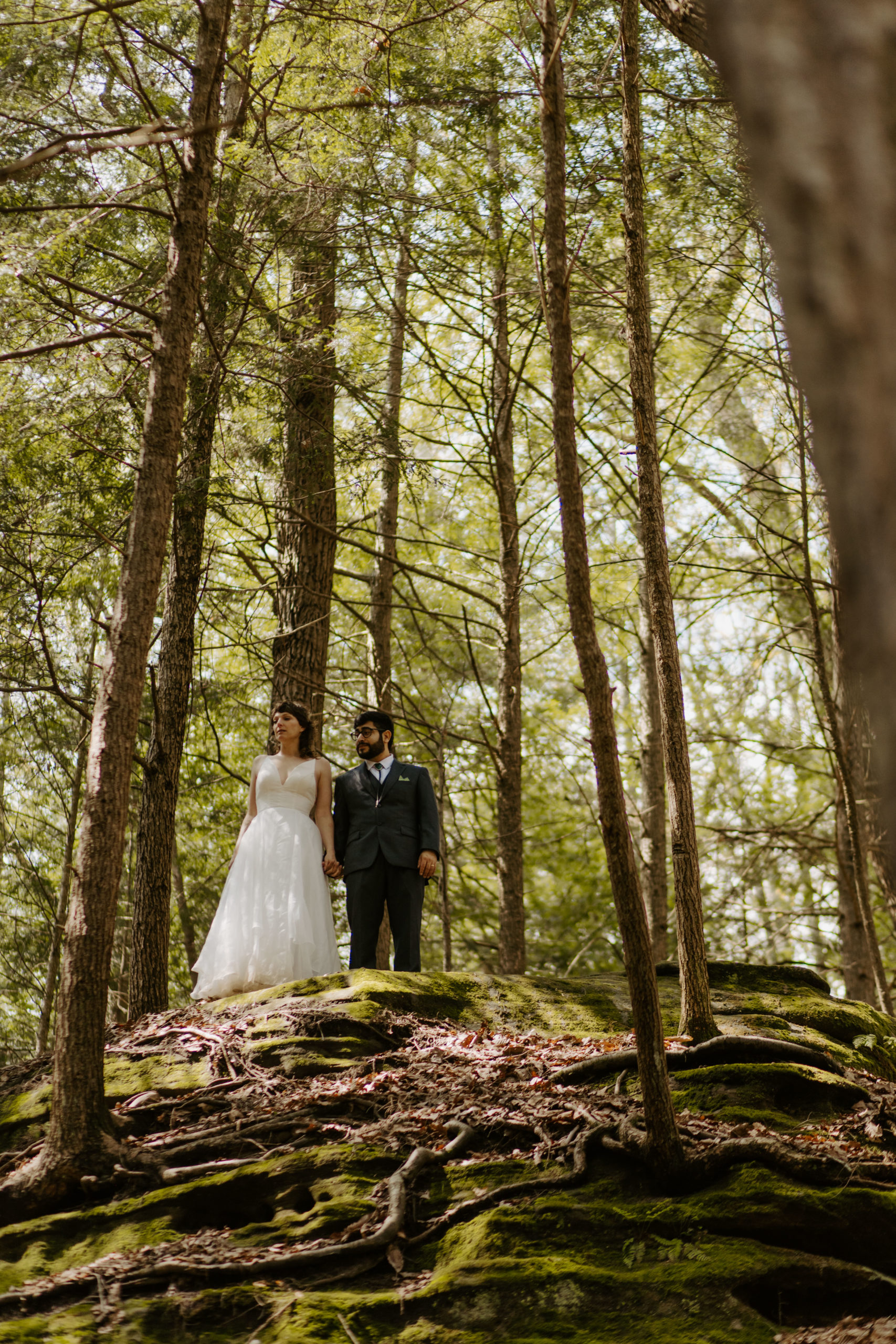 Couple overlooking a cliff in the forest at their Conkle's Hollow Wedding