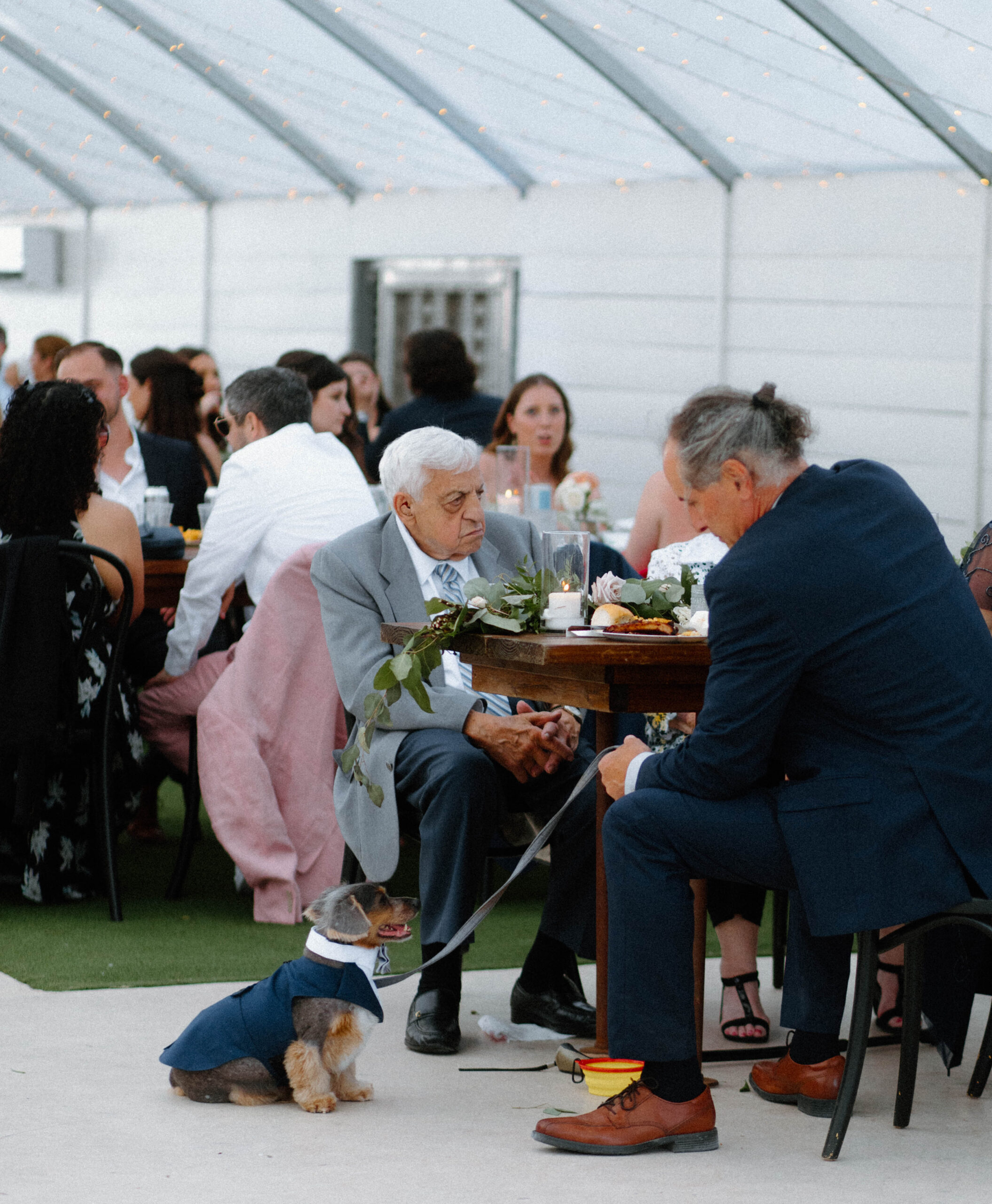 Guests dining at a wedding reception with their dog. 