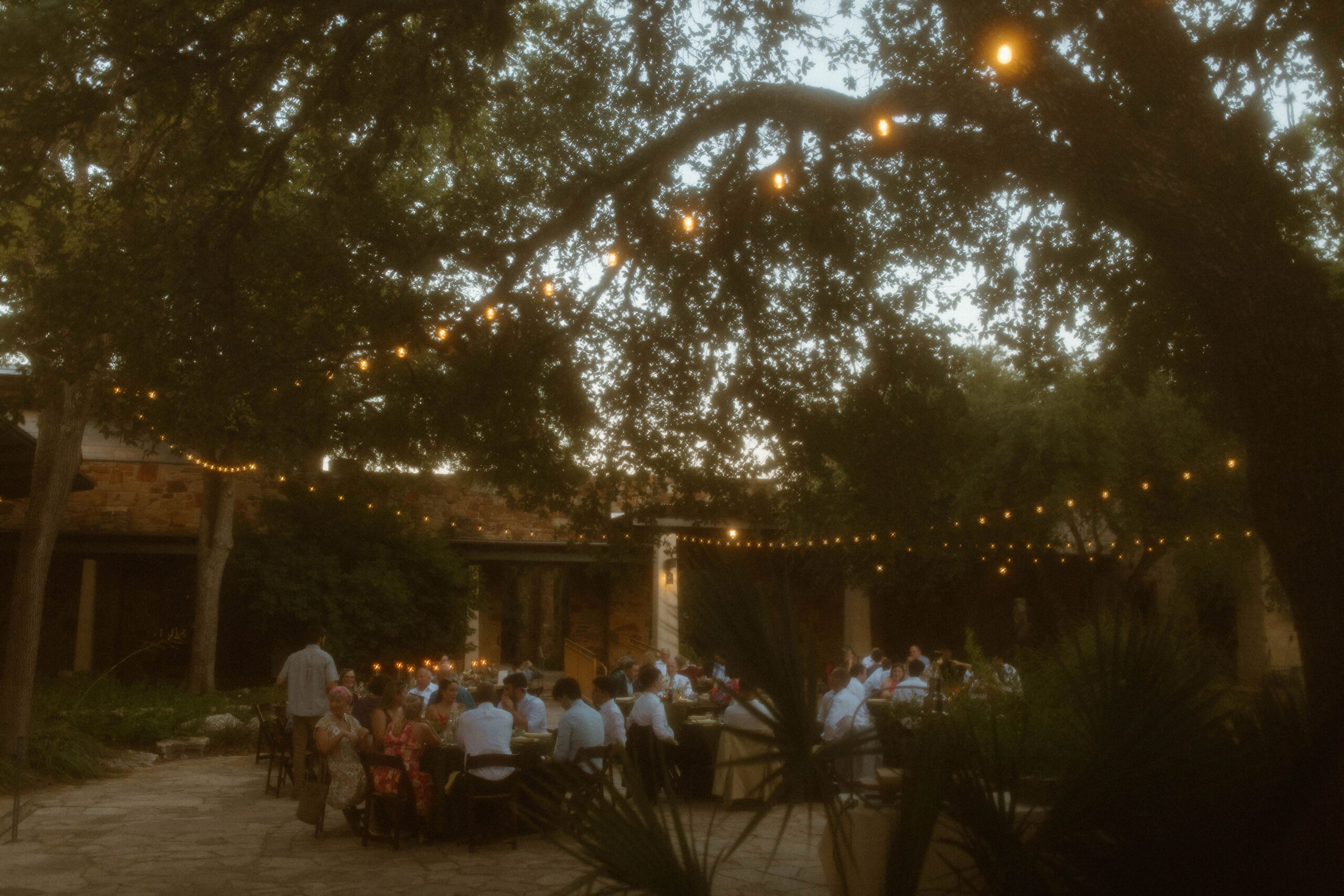 Wedding Reception at Andy Bird Johnson Wildflower Center in Austin Texas. 