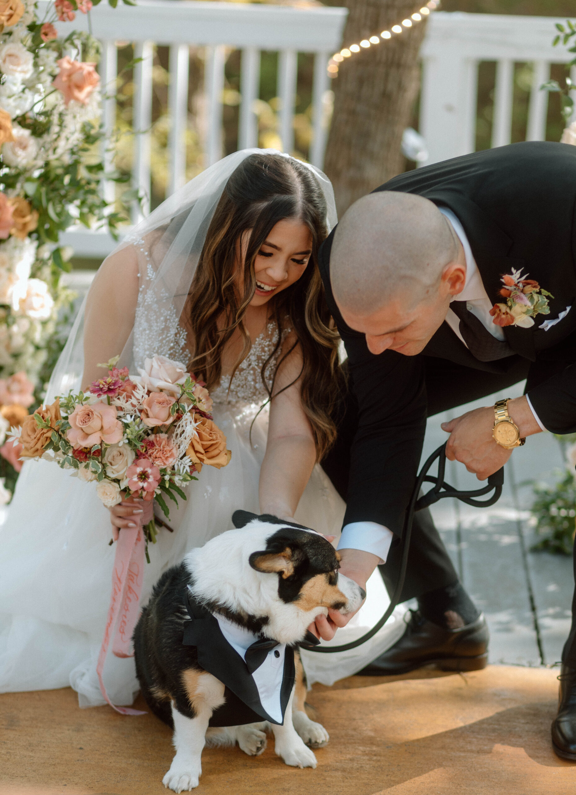 Wedding photos with your dog in tux